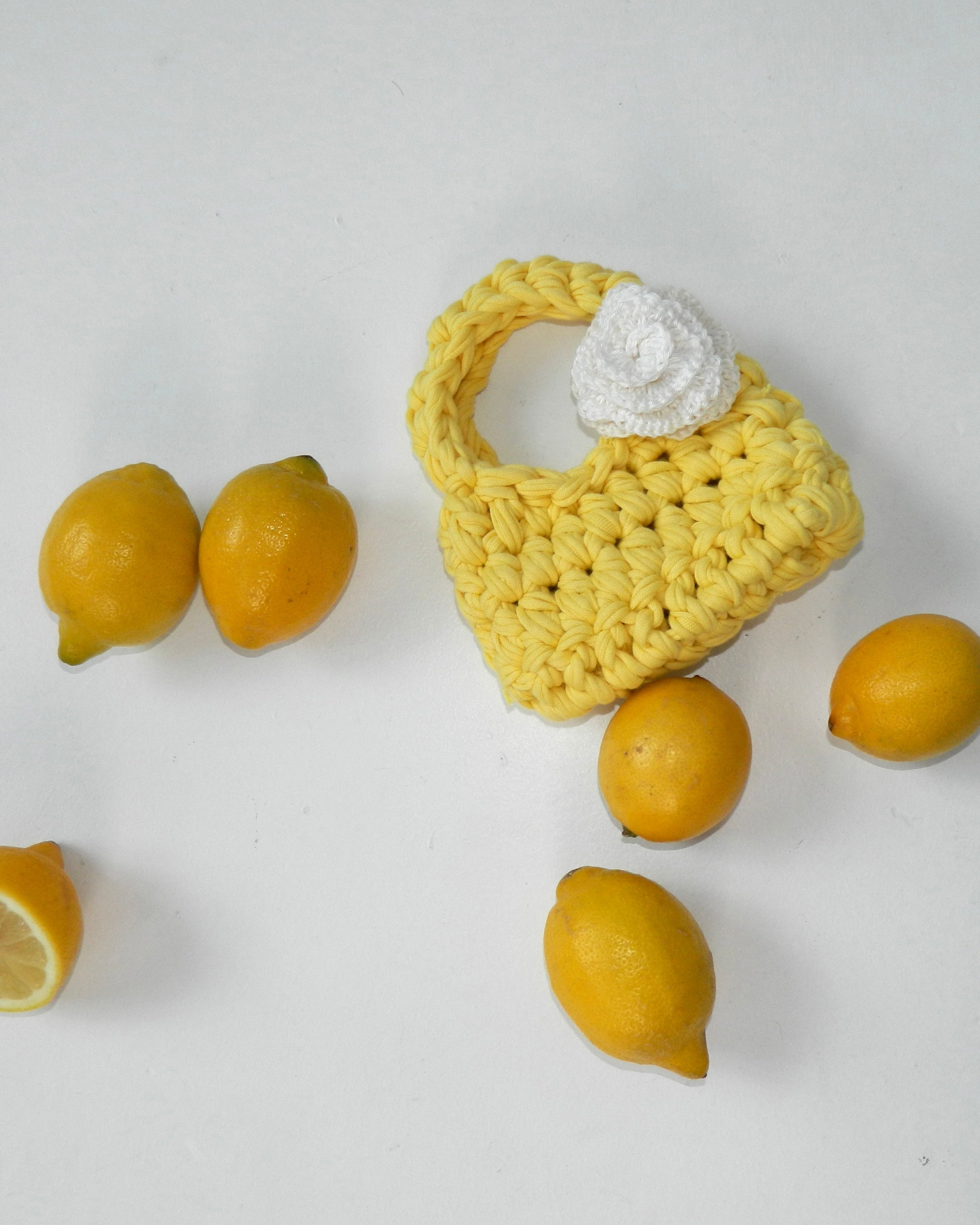 LA LIMONADA - THE MINIEST MINI LEMON JUICE BAG